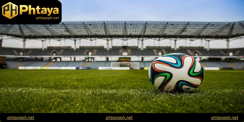 Understanding Phtaya Sports Betting Platform
