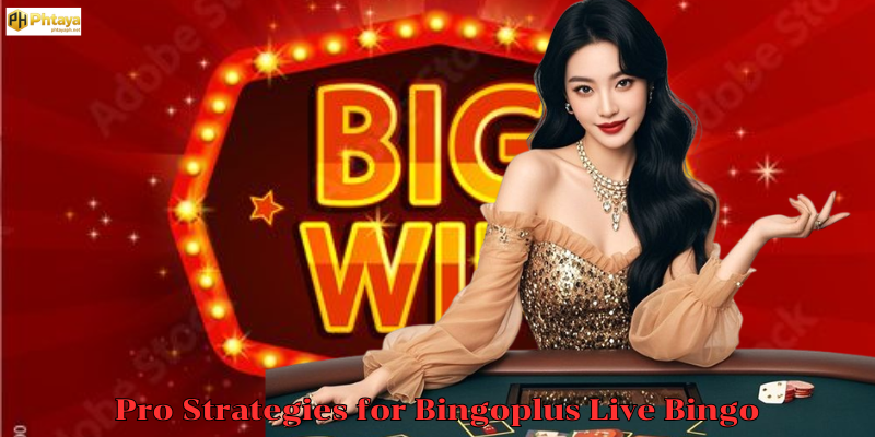 Pro Strategies for Bingoplus Live Bingo